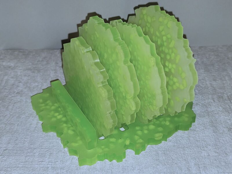 Dzērienu palikņi Zaļie